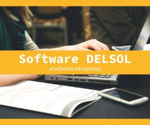 software DELSOL