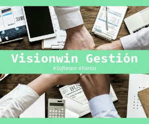 visionwin gestion
