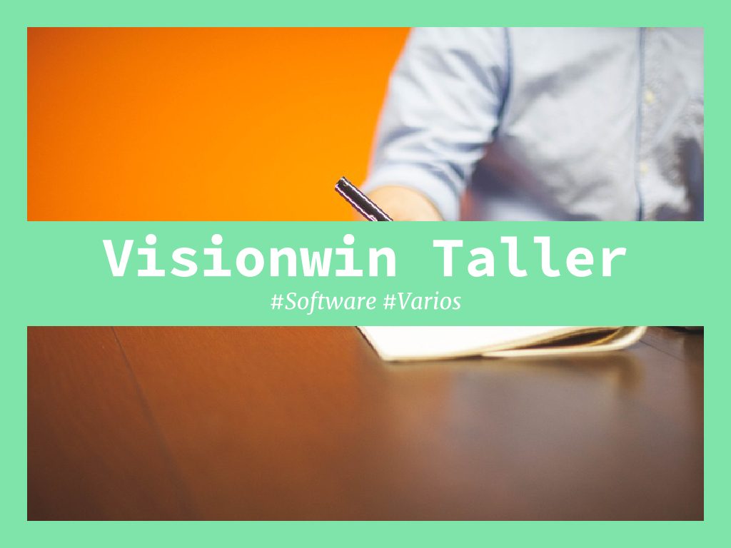 visionwin taller